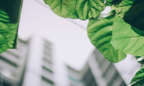 AVELTYS est fier d’avoir obtenu une médaille d’or EcoVadis